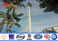 15m Pulver-überzogener hoher Mast-Lampe im Freien Pole für den Park, der örtlich festgelegte Leiter beleuchtet fournisseur