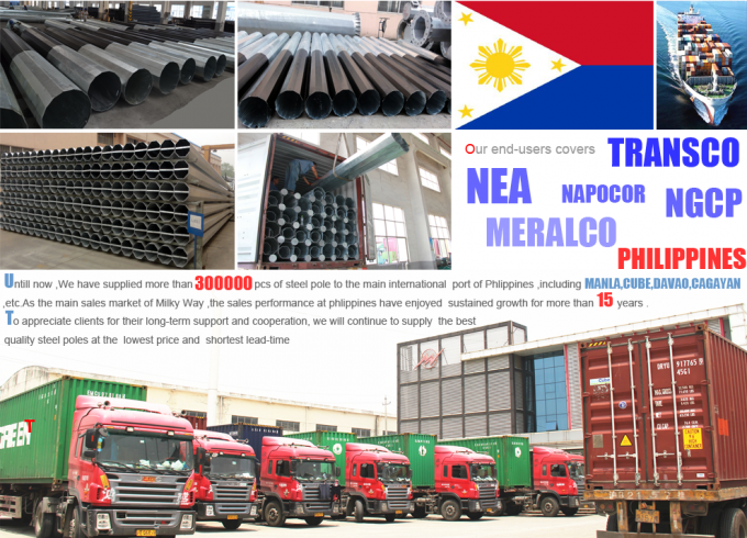 60FT 65FT 1280kg Anpassungsfähiger elektrischer Stromstäbel für verschiedene Ländermärkte und -anforderungen 1